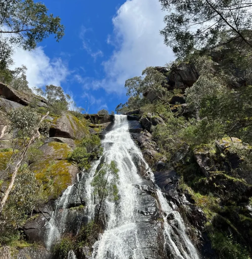 Clematis Falls