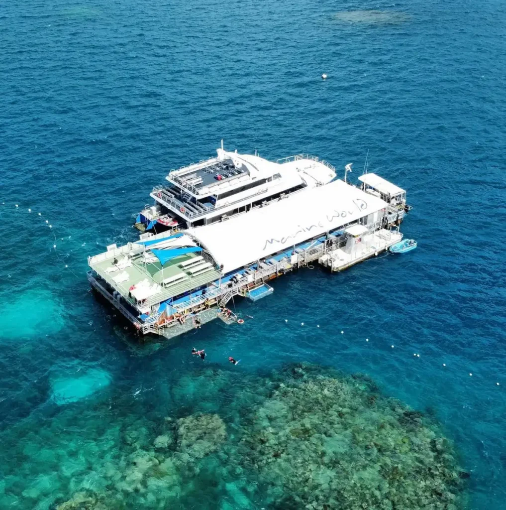 Great Barrier Reef For Toddlers